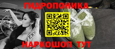 спиды Боровичи