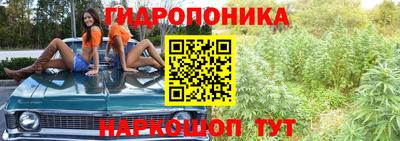 мдма Бердск