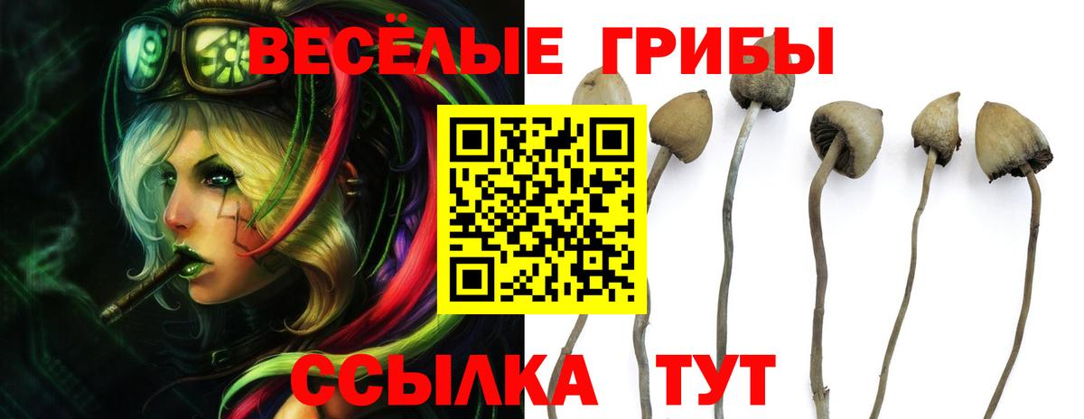 магазин продажи наркотиков  Псилоцибиновые грибы MAGIC MUSHROOMS  Вход с VPN  Галлюциногенные грибы прущие грибы  Осинники 